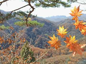 塞罕坝国家森林公园 天气塞罕坝国家森林公园：自然风光与丰富生态的天堂